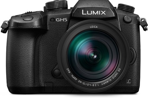 Panasonic LUMIX GH5S Mirrorless Camera