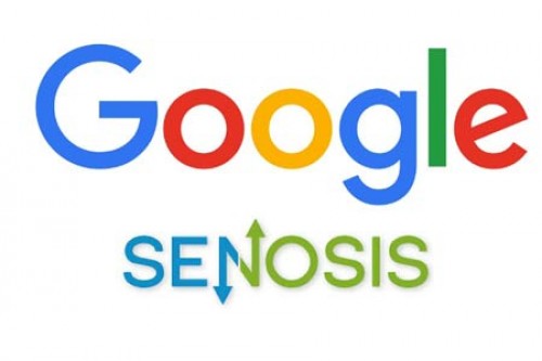 Google Buys Senosis Health