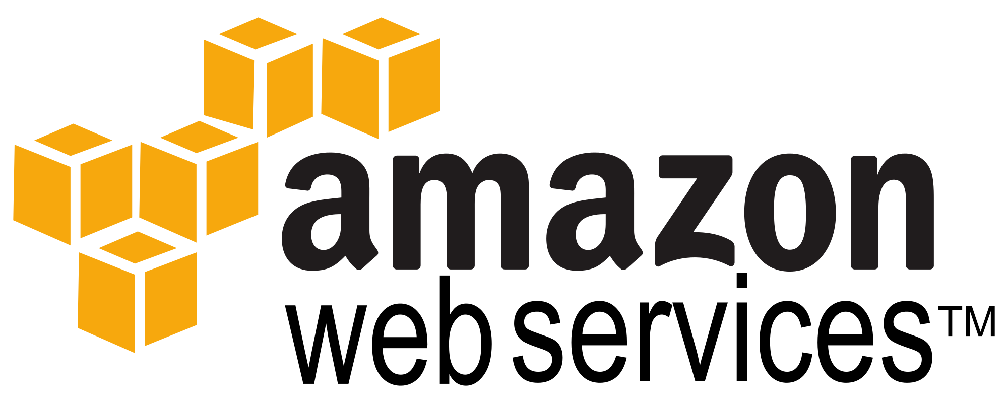 Amazon The Everything Store